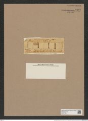 Stephanopyxis cylindracea Grev. (de-Toni-Nr.: Genus 187, Species 4661/1) Zeichnungen Sammlung Grunow Nr. 8305 (NHMW-BOT-W0377704)